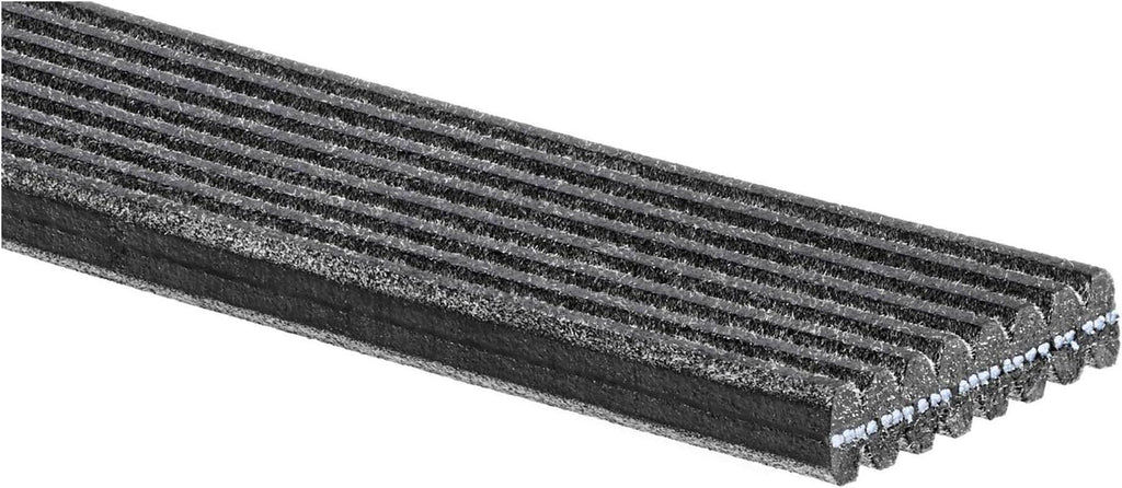 Gold 8DK534 Dual Sided V-Ribbed Serpentine Belt