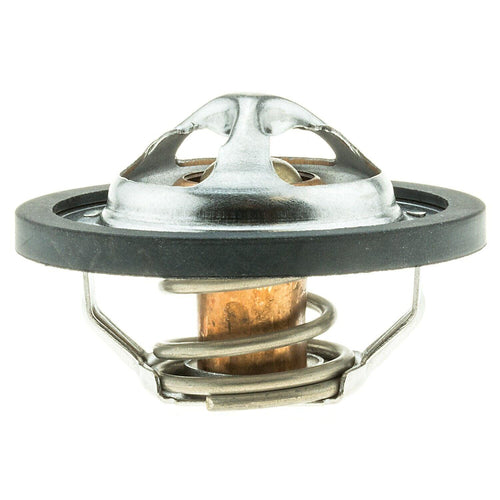 Engine Coolant Thermostat for NV200, Rogue Sport, Sentra, Qashqai+More 34160