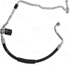 56141 Hose Assembly