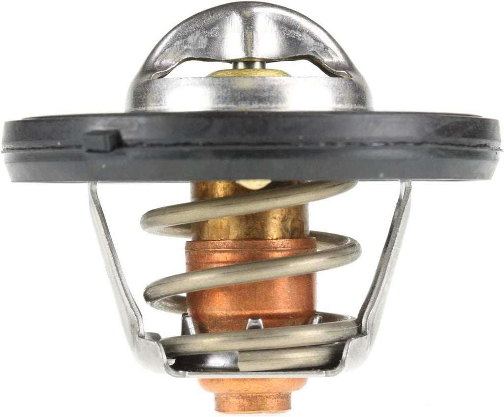 420-195 Thermostat