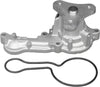Professional 252-959 Water Pump Kit