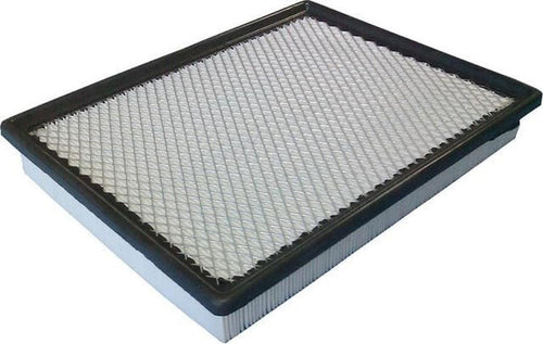 Workshop Air Filter 5247WS (Ford, Lincoln, Mercury)