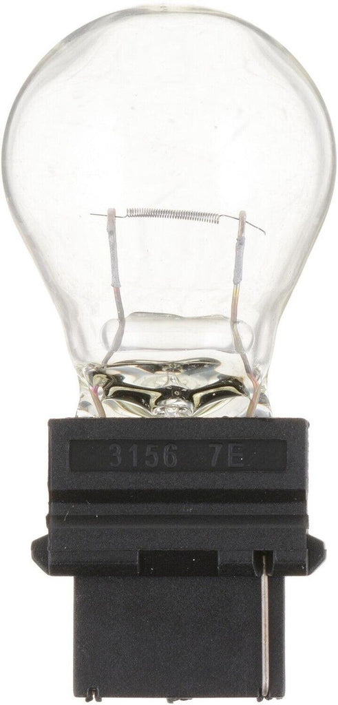 Fog Light Bulb for E-350 Super Duty, Mustang, Frontier, Tornado+More 3156B2