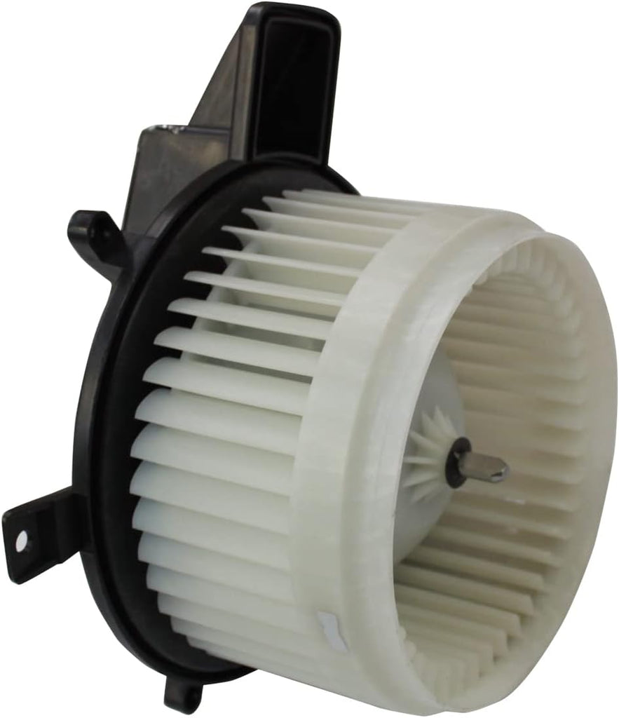 TYC 700216 Replacement Blower Assembly