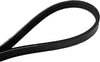 Continental 4030242 OE Technology Series Multi-V Belt