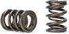 311-05-1350 Tuner Series Valve Spring Set