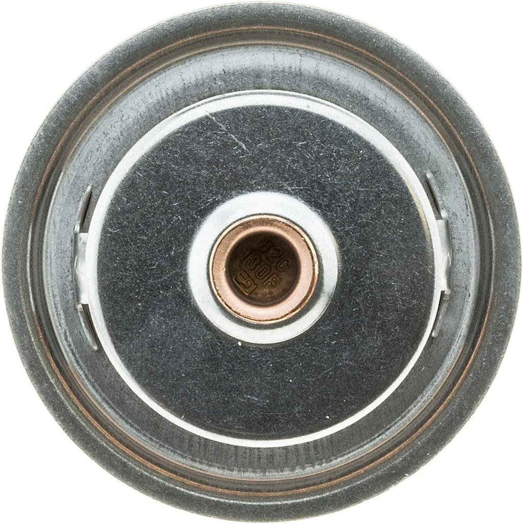 OE Type Thermostat, Stainless Steel