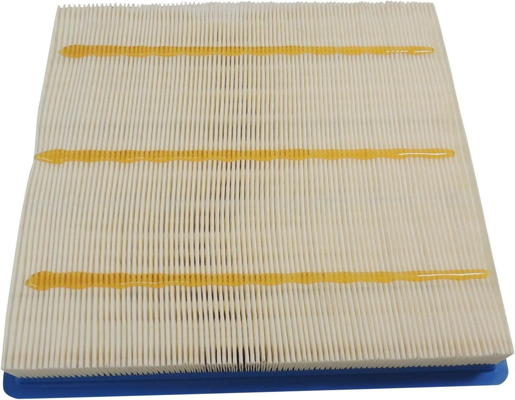 GM Original Equipment A3195C Air Filter