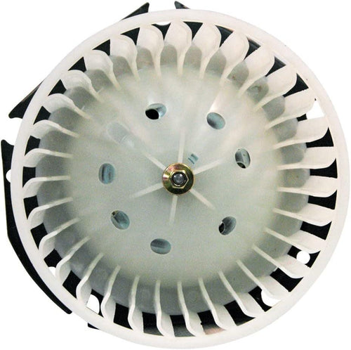 700079 Buick Replacement Blower Assembly