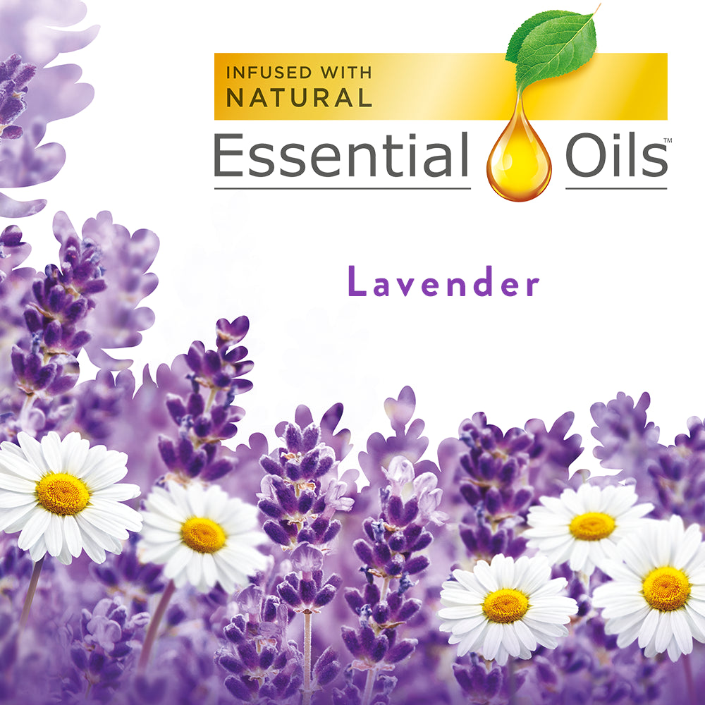 Plug in Scented Oil Refill, 7 Ct, Lavender, Air Freshener, Essential Oils