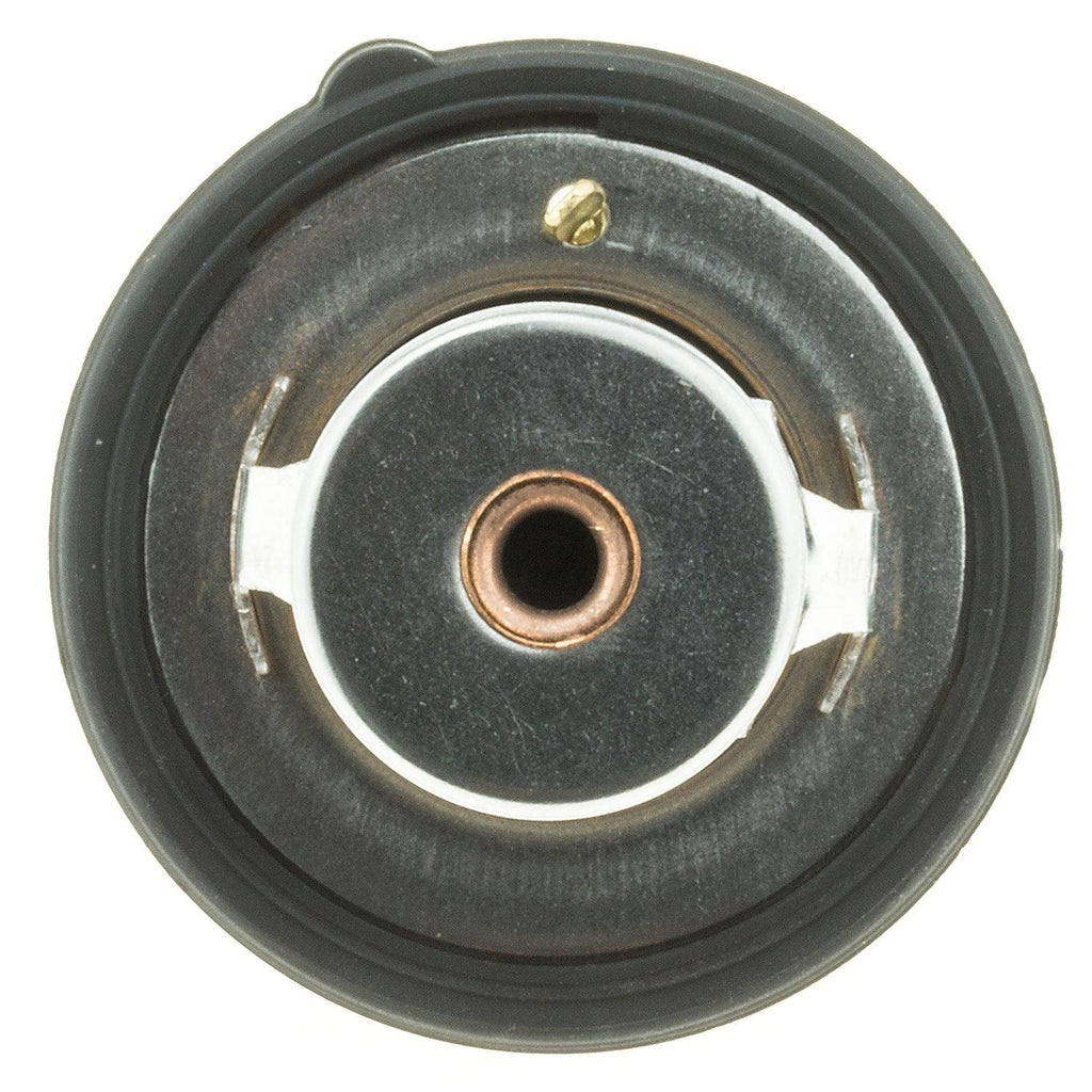 727-192 Thermostat with Seal