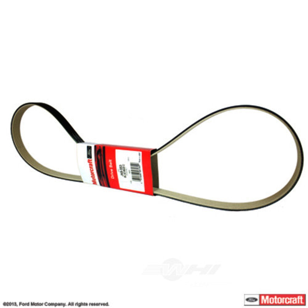 Motorcraft Multi-Rib Serpentine Belt Drive Belt