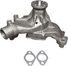 Professional 252-722 Water Pump Kit