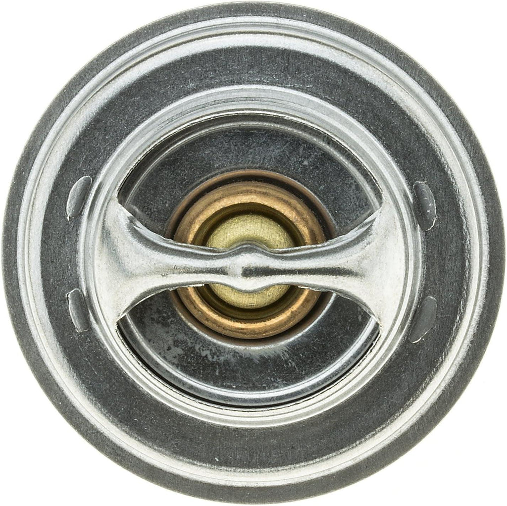 273-167 Thermostat