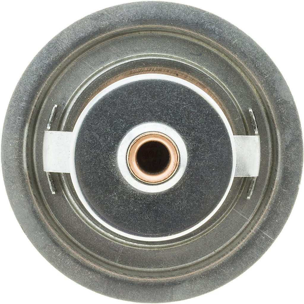 288-174 Thermostat