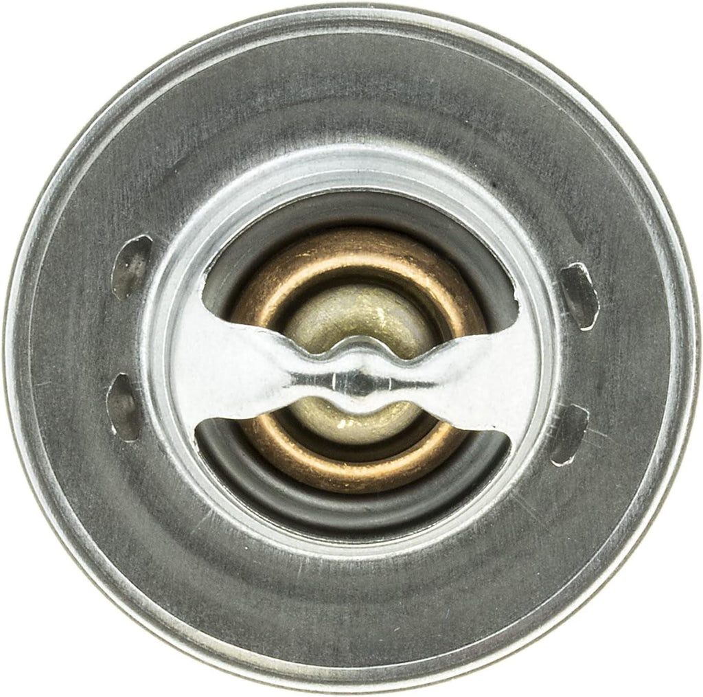 Economy Thermostat, Stainless Steel