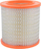 Extra Guard Engine Air Filter Replacement, Easy Install W/Advanced Engine Protection and Optimal Performance, CA3902 for Select Buick, Chevrolet, Oldsmobile and Pontiac Vehicles