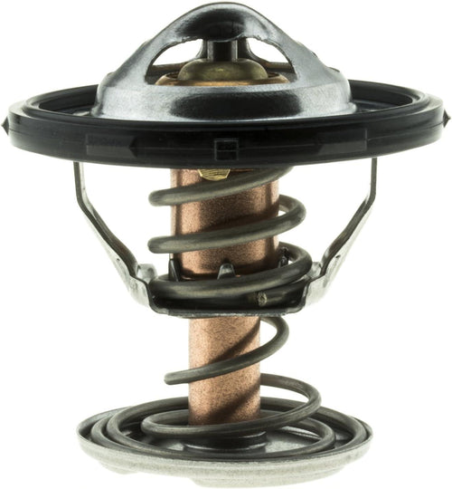 523-180 Thermostat with Seal