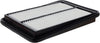 Extra Guard CA11858 Replacement Engine Air Filter for Select Nissan Models, Provides up to 12 Months or 12,000 Miles Filter Protection