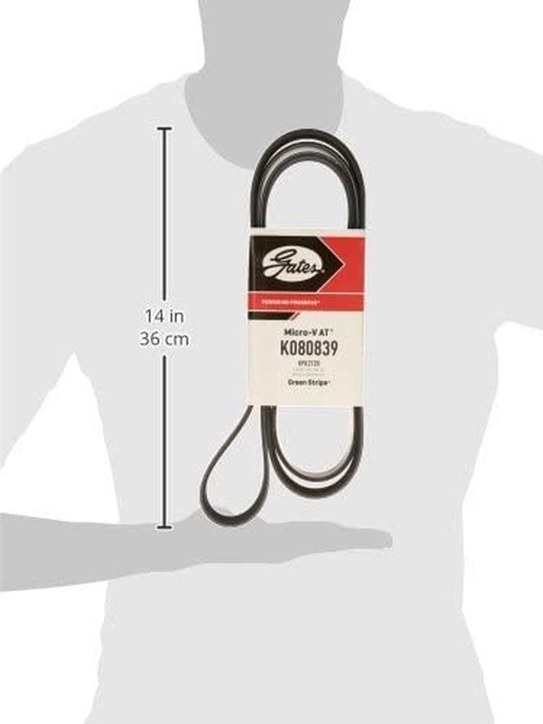 K080839 Micro-V Serpentine Drive Belt