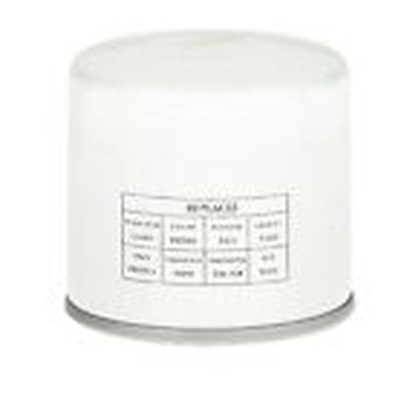 Engine Oil Filter for BRZ, SEI 2, WRX, D20, J4, 86, Montero, Legacy+More PO4459