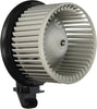 Blower Motor