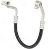 Discharge Line Hose Assembly - 56276