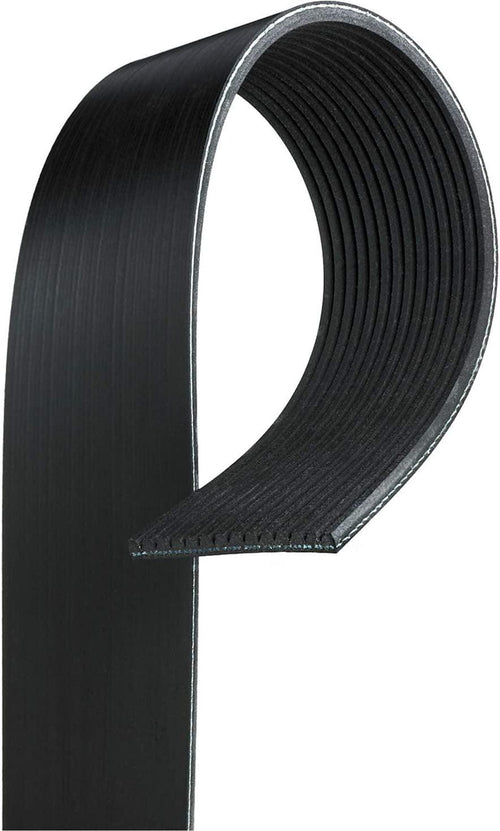 Gold 14K662 Standard V-Ribbed Serpentine Belt