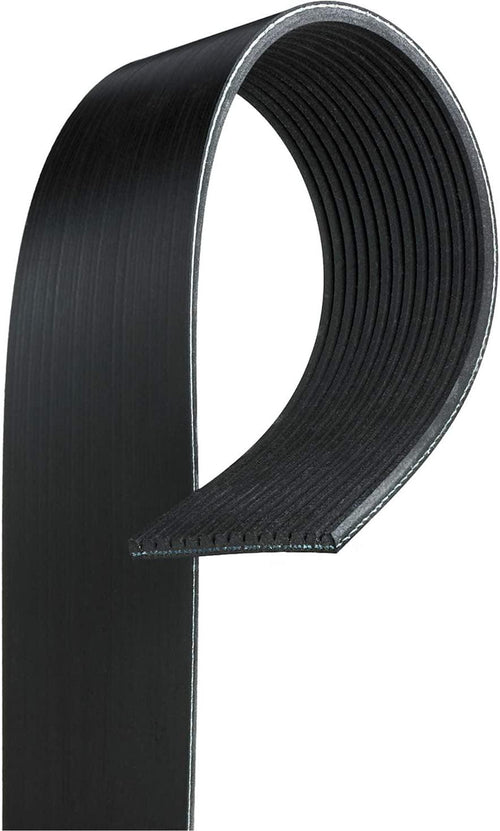 Gold 14K352 Standard V-Ribbed Serpentine Belt