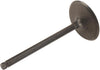 12627970 L92 Intake Valve