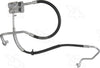 56417 Hose Assembly