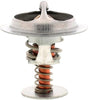 281-140: Engine Coolant Thermostat