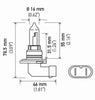 Headlight Bulb for Encore, Spyder RT (SE6), Spyder RT (Sm6)+More 9005SB