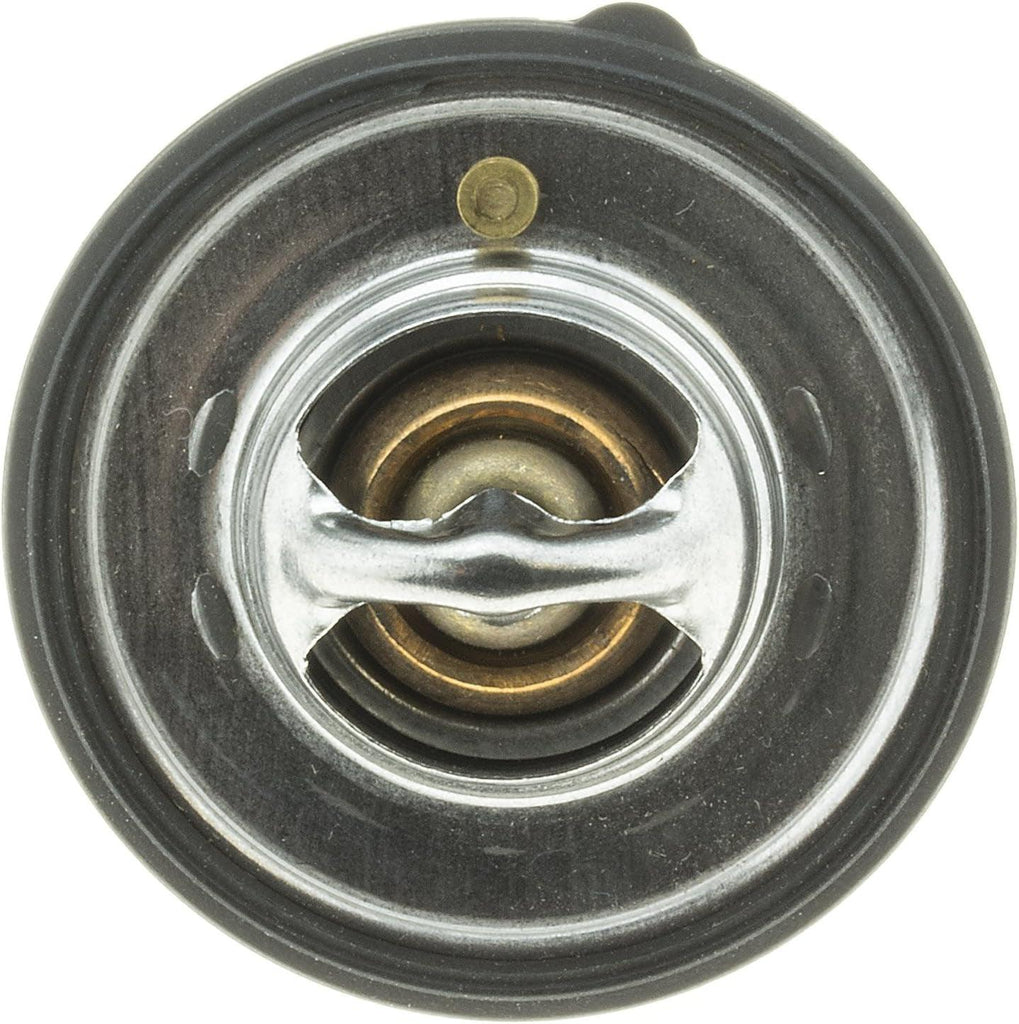 726-180 Thermostat with Seal