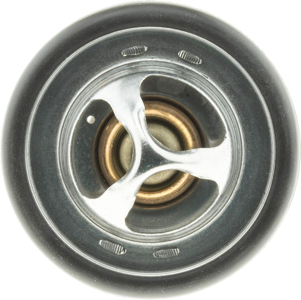 33913 Thermostat