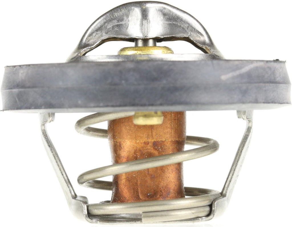 425-195 Thermostat