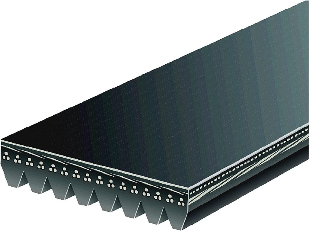 Gold 8K797 Standard V-Ribbed Serpentine Belt