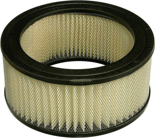 Extra Guard CA101 Replacement Engine Air Filter for Select Studebaker and American Motors Models, Provides up to 12 Months or 12,000 Miles Filter Protection