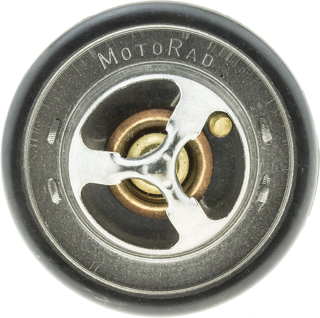 299-170 Thermostat with Seal