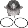 Professional 252-527 Water Pump Kit