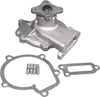 Professional 252-250 Water Pump Kit