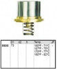 880070 Thermostat
