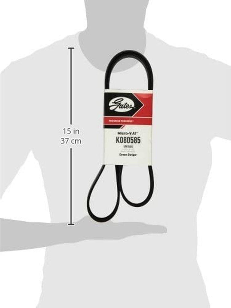 K080585 Micro-V Serpentine Drive Belt