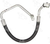 55353 Hose Assembly