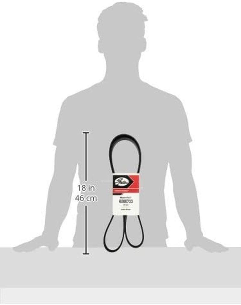 K080733 Micro-V Serpentine Drive Belt