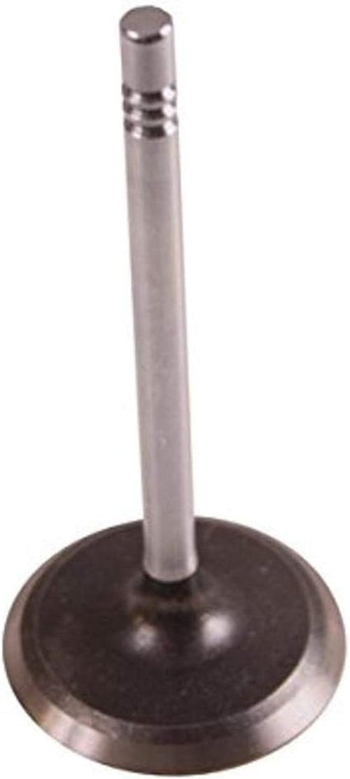 17417.03 Intake Valve