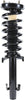 282694 Suspension Strut and Coil Spring Assembly