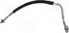 56575 Hose Assembly