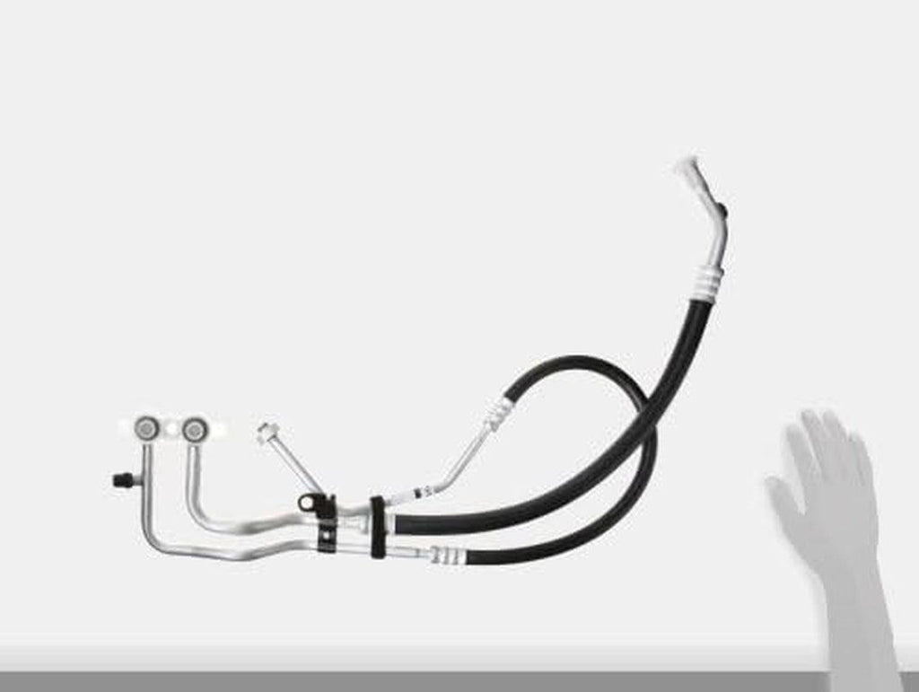 56509 Hose Assembly