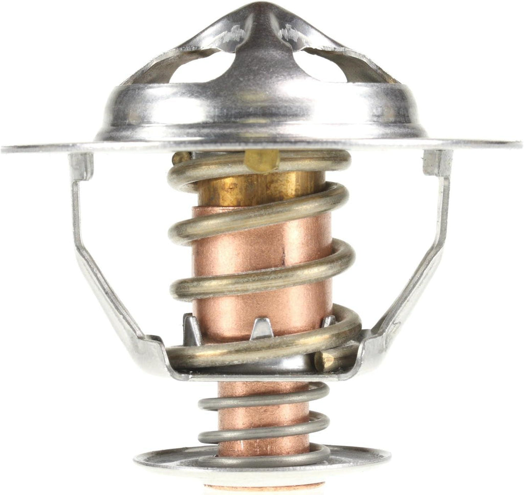 298-170 Thermostat